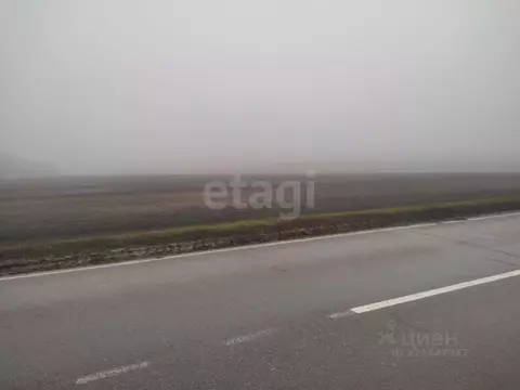 Участок в Белгородская область, Красногвардейский район, Ливенское ...