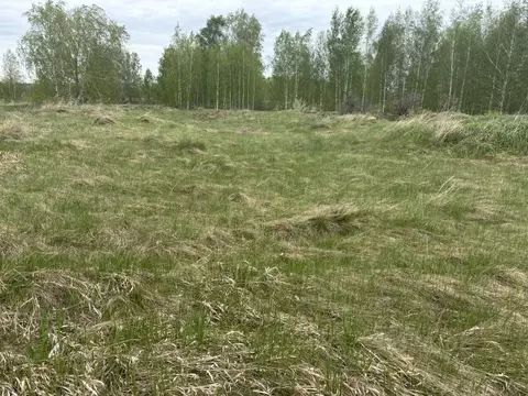 Участок в Челябинская область, Еткульский муниципальный округ, с. ...