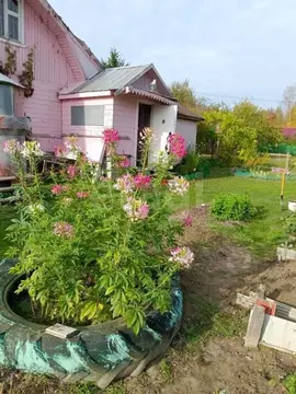 Дом в Вологодская область, Рассвет-С садоводческое товарищество 114 ...
