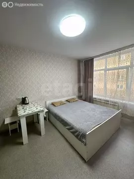 Квартира-студия: Иркутск, Байкальская улица, 244/2 (20.5 м)