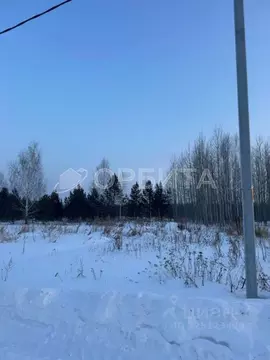 Участок в Тюменская область, Нижнетавдинский муниципальный округ, ...