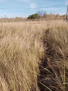 Участок в Тюменская область, Тюмень Садовое товарищество Липовый ...