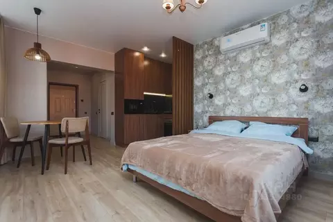 Студия Башкортостан, Уфа ул. Рудольфа Нуреева, 5 (30.0 м)