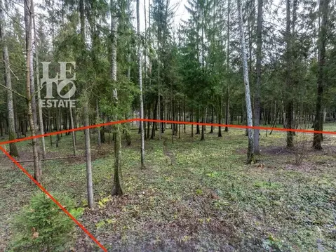 Участок в Московская область, Мытищи городской округ, Среди Своих кп  ...