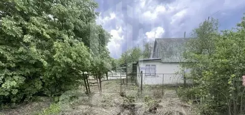 Дом в Воронежская область, Новоусманский район, Рождественско-Хавское ...