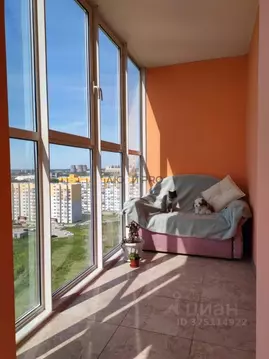 3-к кв. Алтайский край, Барнаул Взлетная ул., 103 (61.0 м)