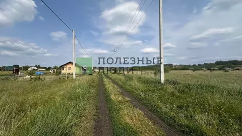 Участок в Тамбовская область, Тамбовский муниципальный округ, с. Лысые ...