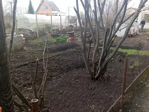 Участок в Свердловская область, Екатеринбург Авиатор-5 КС, 336 (6.6 ...