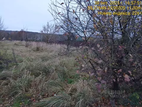 Участок в Московская область, Можайский муниципальный округ, с. ...