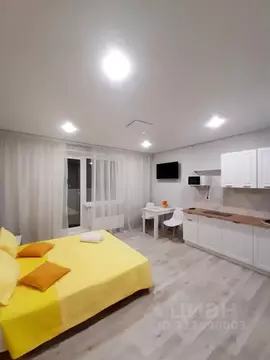 Студия Челябинская область, Челябинск ул. Александра Шмакова, 39А ...