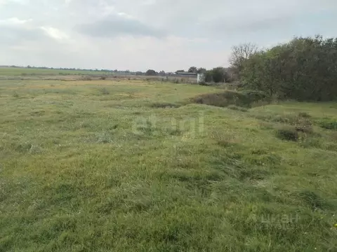 Участок в Крым, Ленинский район, с. Калиновка ул. Южная (18.45 сот.)