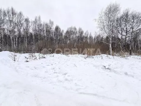 Участок в Тюменская область, Тюмень Якорь садовое товарищество, ул. ...