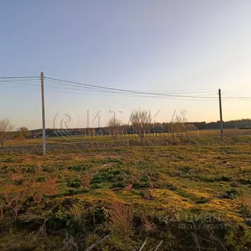 Участок в Ленинградская область, Приозерский район, Плодовское с/пос, ...