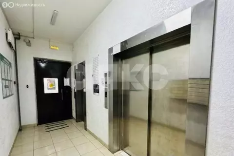 Квартира-студия: Анапа, Астраханская улица, 97 (31 м)