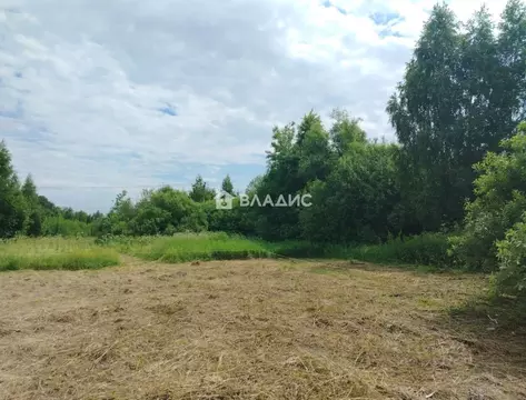 Участок в Московская область, Электросталь городской округ, д. Есино  ...