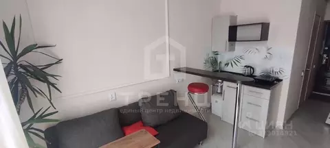 Студия Санкт-Петербург Московский просп., 186 (19.0 м)