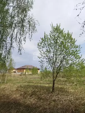 Участок в Брянская область, Брянский район, Отрадненское с/пос, с. ...