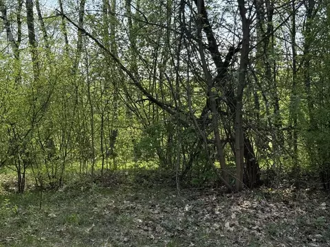 Участок в Московская область, Кашира городской округ, д. Завалье-1  ...