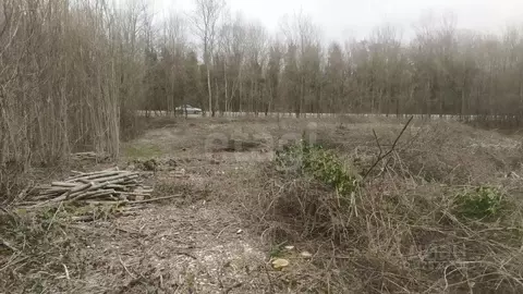 Участок в Краснодарский край, Геленджик городской округ, с. ...