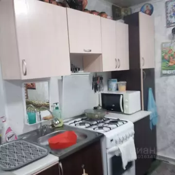 Дом в Омская область, Омск СОСН Дружба тер., аллея 6-я (53 м)