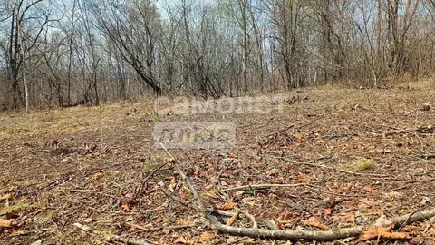 Участок в Приморский край, Артем ул. 1-я Рабочая (10.0 сот.)