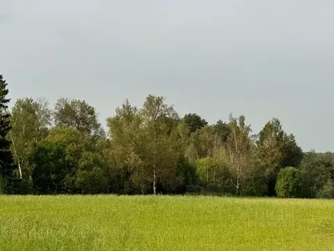 Участок в Московская область, Солнечногорск городской округ, д. Мостки ...