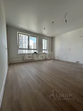 Студия Московская область, Ленинский городской округ, Мисайлово пгт ...