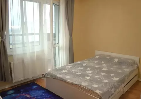 Студия Санкт-Петербург ул. Пахомовская, 25 (17.0 м)