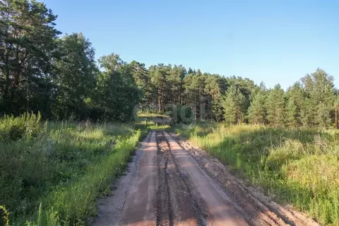 Дом в Алтайский край, Первомайский район, с. Зудилово Октябрьская ул., ...