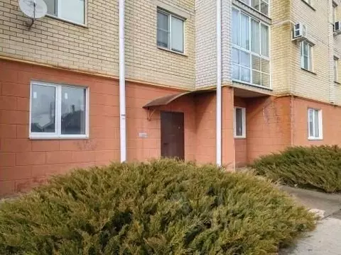 Помещение свободного назначения в Воронежская область, Нововоронеж ...