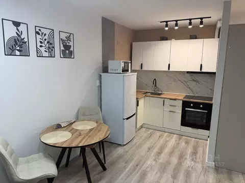 1-к кв. Ленинградская область, Мурино Всеволожский район, ул. Шоссе в ...