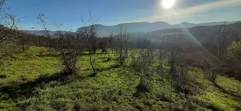 Участок в Крым, Бахчисарайский район, Голубинское с/пос, с. Аромат ул. ...