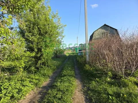 Участок в Брянская область, Брянский район, Снежское с/пос, пос. ...