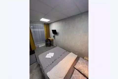 2-к кв. Свердловская область, Екатеринбург ул. Маяковского, 29 (50.0 ...