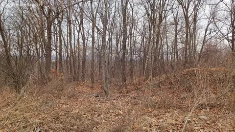 Участок в Приморский край, межселенные территории Дальнереченского ...