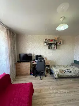 1-к кв. Адыгея, Майкоп Железнодорожная ул. (22.0 м)