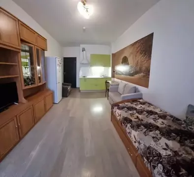 Студия Санкт-Петербург Союзный просп., 4 (23.7 м)