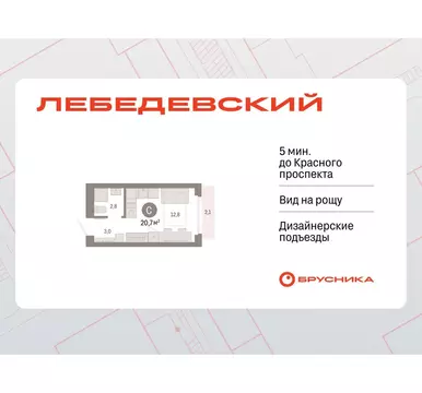 Квартира-студия: Новосибирск, квартал Лебедевский, 1/3 (20.7 м)