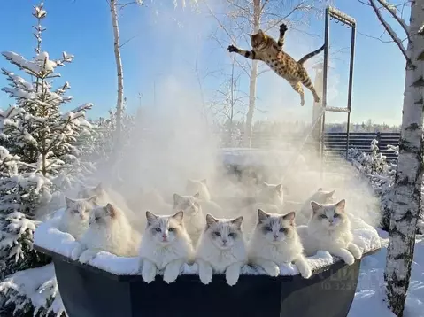 Дом в Московская область, Клин городской округ, д. Решоткино  (104 м)