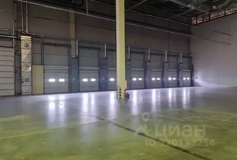 Склад в Московская область, Домодедово Белые Столбы мкр, ул. ...