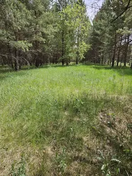 Участок в Самарская область, Красноярский район, Новый Буян с/пос, с. ...