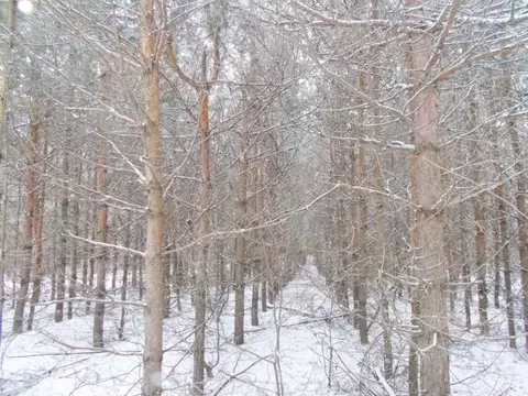 Участок в Саратовская область, Саратов ул. Валентиновская (10.0 сот.)