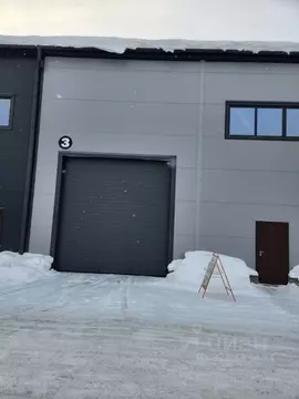 Помещение свободного назначения в Алтайский край, Барнаул просп. ...