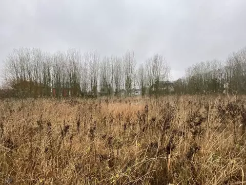 Участок в Ленинградская область, Ломоносовский район, Оржицкое с/пос, ...