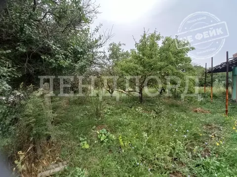 Участок в Ростовская область, Мясниковский район, Большесальское ...