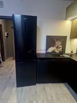 Студия Санкт-Петербург ул. Одоевского, 17 (42.0 м)