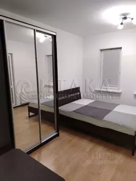 Студия Санкт-Петербург Комендантский просп., 71 (25.0 м)