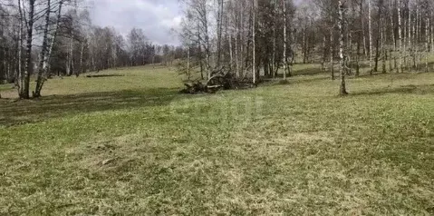 Участок в Алтай, Чемальский район, Чепошское с/пос, Сибирь тер.  ...