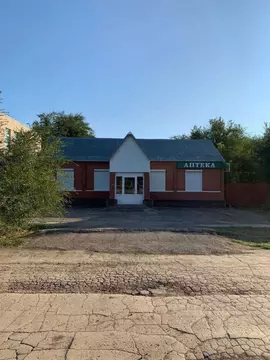 Торговая площадь в Самарская область, с. Большая Черниговка ул. ...