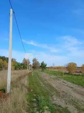 Участок в Алтайский край, Барнаул городской округ, пос. Ягодное ул. ...